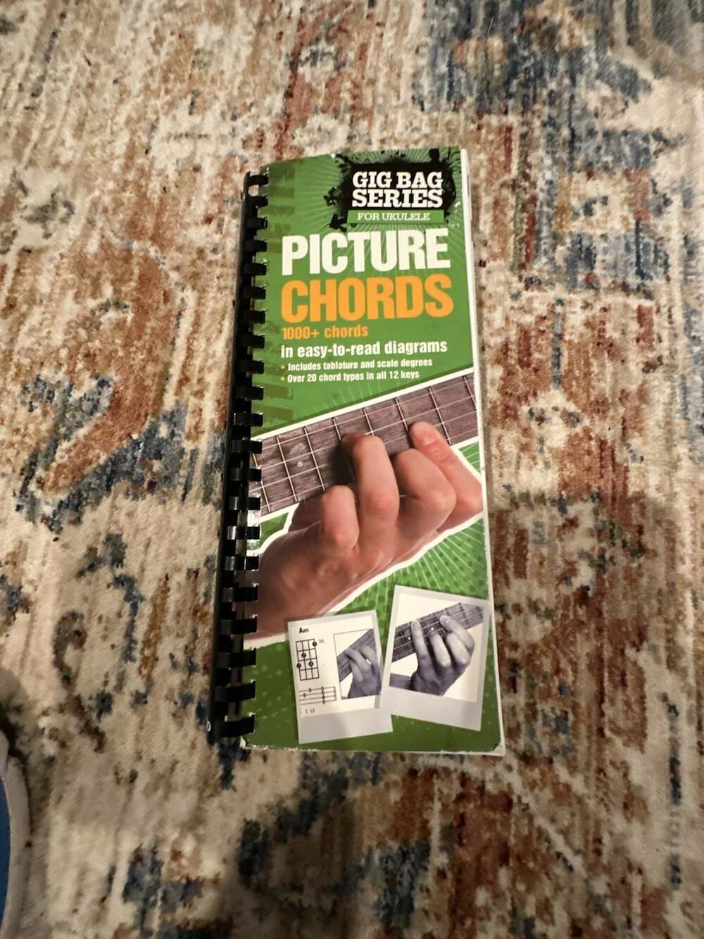 Gig Bag Series for Ukulele: Picture Chords Reference Book